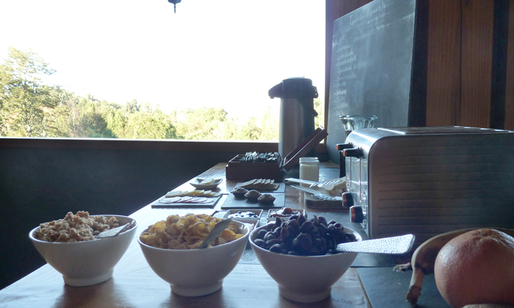desayuno buffet  del hotel